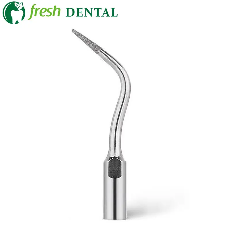 Buy 5PCS Dental Ultrasonic Scaler Tips PD4D New Dental