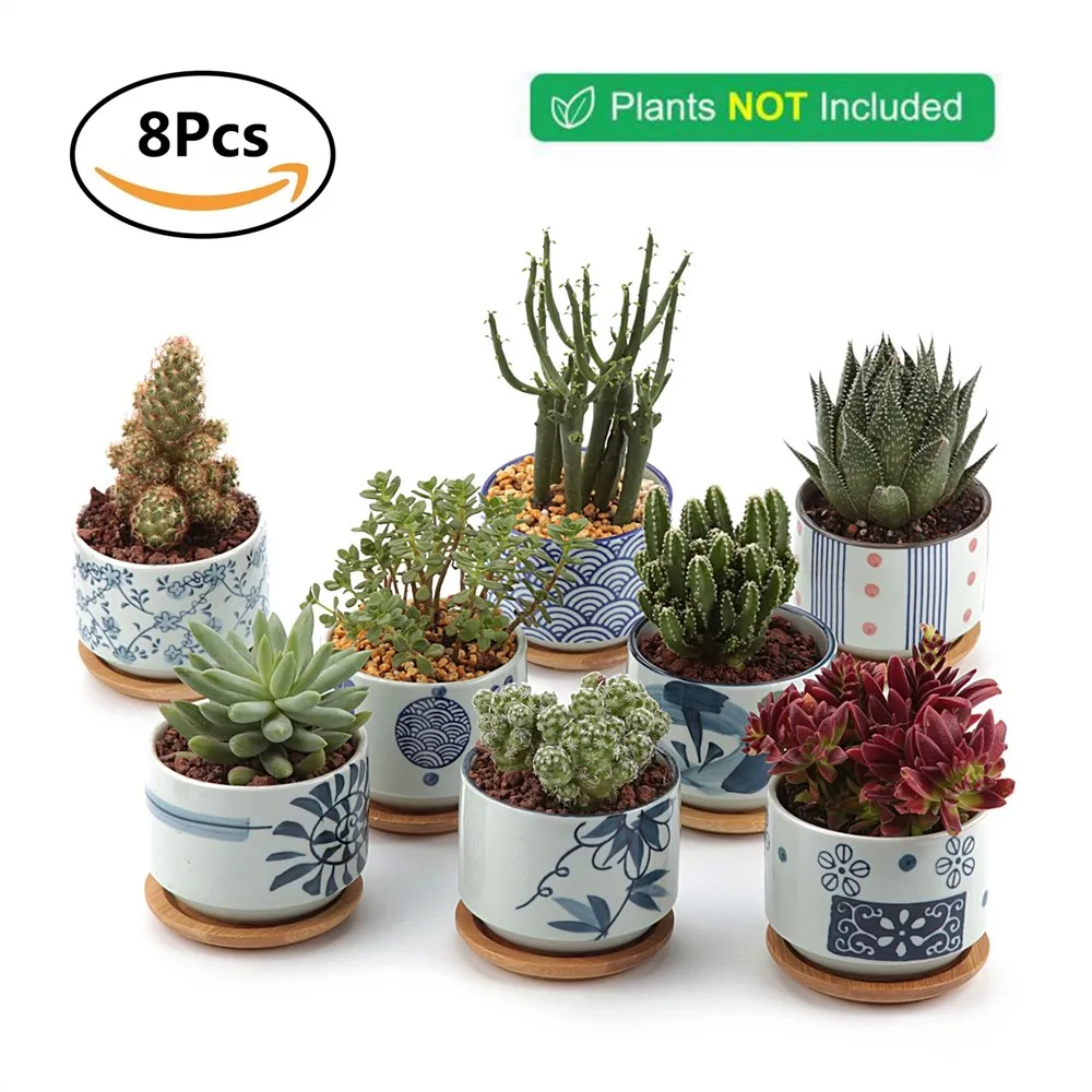 

T4U Ceramic Japanese Style Serial succulent planter Plant Pot Cactus maceta bonsai Pot Flower Pot Container garden decoration