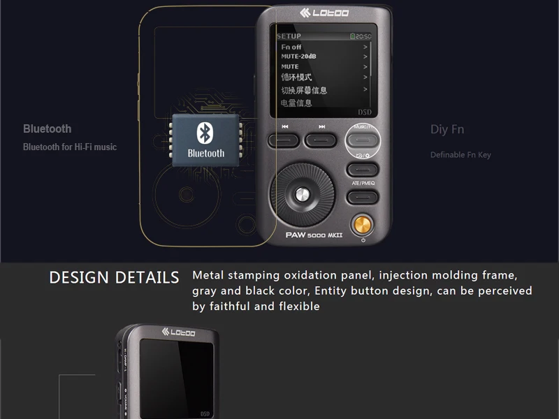 LOTOO PAW 5000 portable Hi-Fi music player AKM Premium Series — HiFiGo