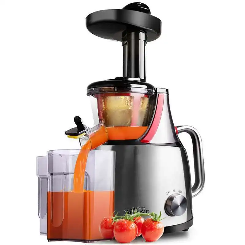 High Quality Low Price Slow Juicer Pyy02 Fruit Vegetable Citrus Juice