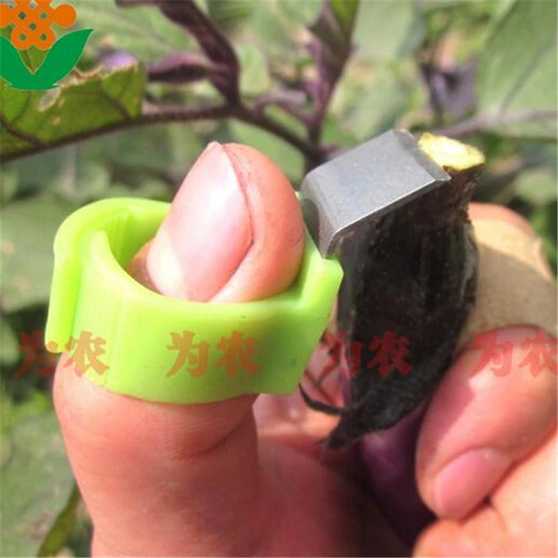 

L Modle Quality Blade Garden Tool Tomato Cucumber Grape Orange Fruit Picking Pick up Melon Scissors Ring