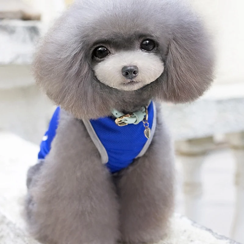 Рубашки для собак Chiwawa одежда Shih Tzu футболка йоркширского терьера домашних