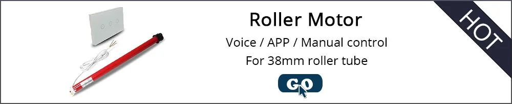 roller motor