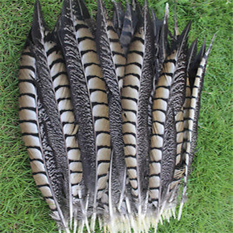 

Recommend, 100 pcs natural pheasant pheasant tail headdress 30-35 cm /12-14 inches choose