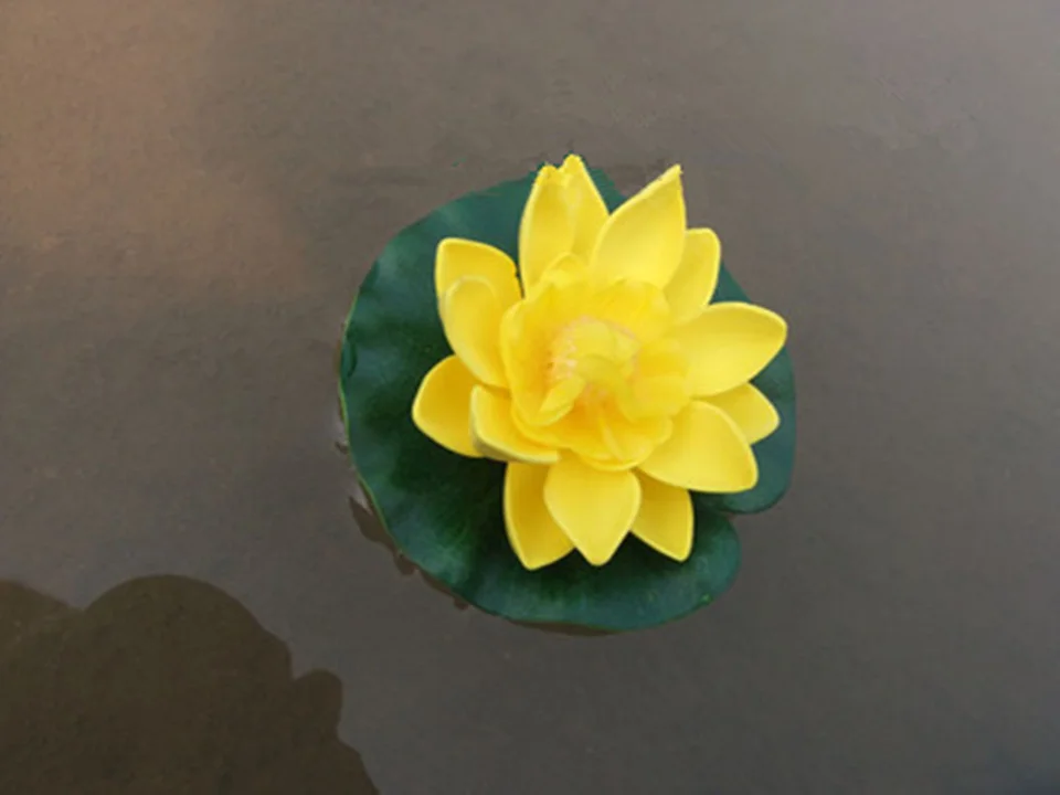2900771420_387187146.400x400