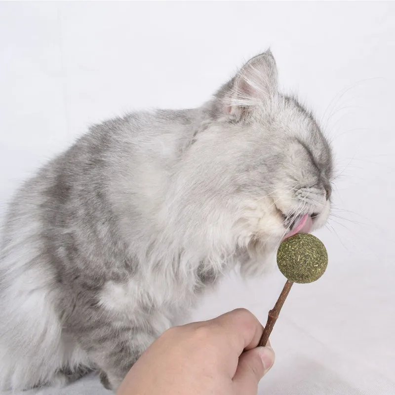 

New Cat Mint Lollipop Healthy Teeth Cat Entertainment Toy Catnip Ball Toy Funny Cat Catnip Toy Pet Cat Chew Toy