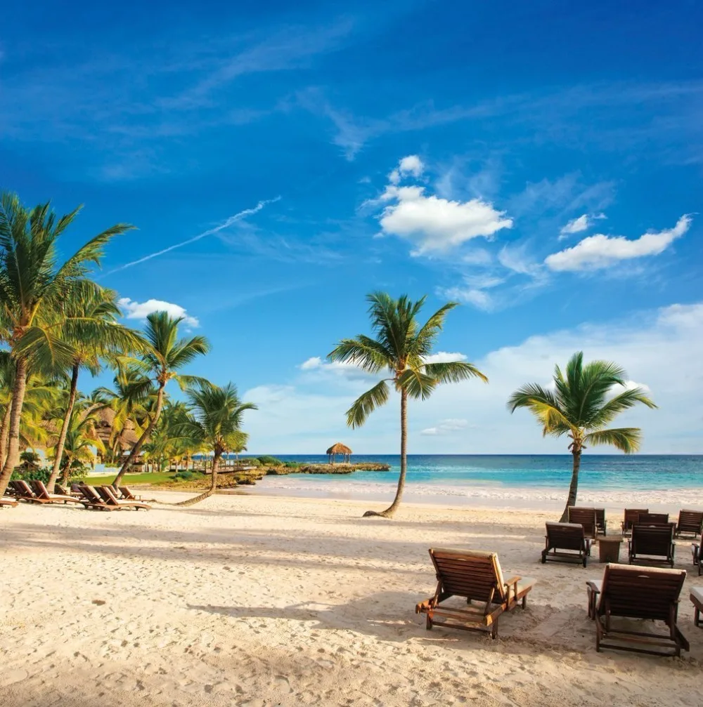 tropical beach photography backdrops