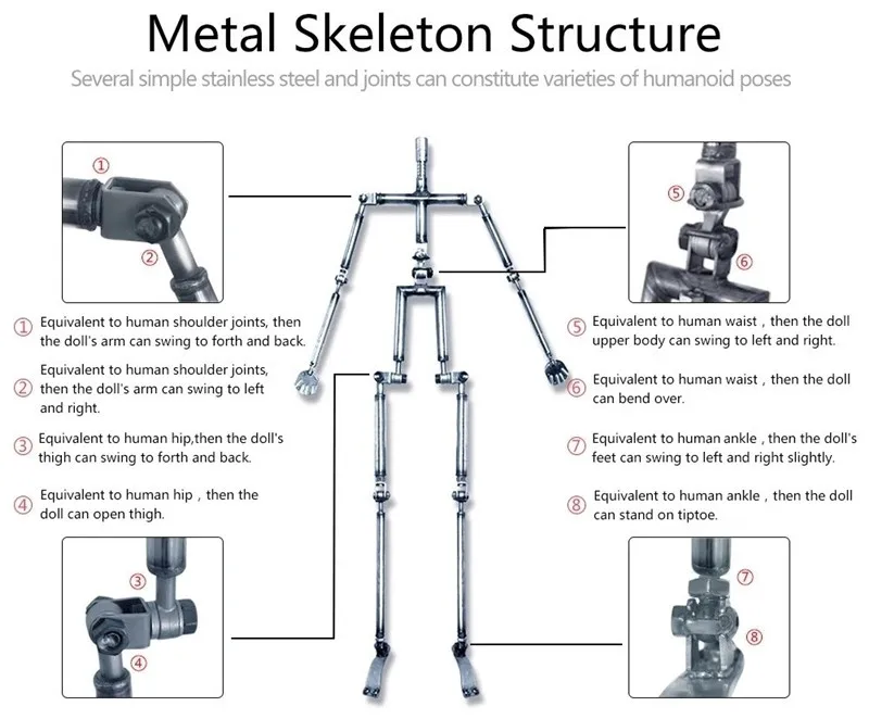 skeleton