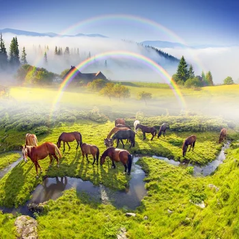 

Laeacco Natural Wonderland Grassland Rainbow Horse Farm Creek View Photo Backgrounds Photography Backdrops For Photo Studio