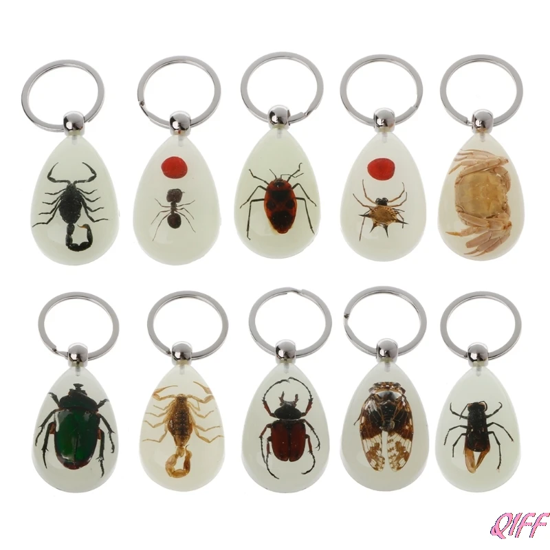 

Natural Glow-in-the-Dark Real Insect Keychain Beetle Animal Specimens Collecting