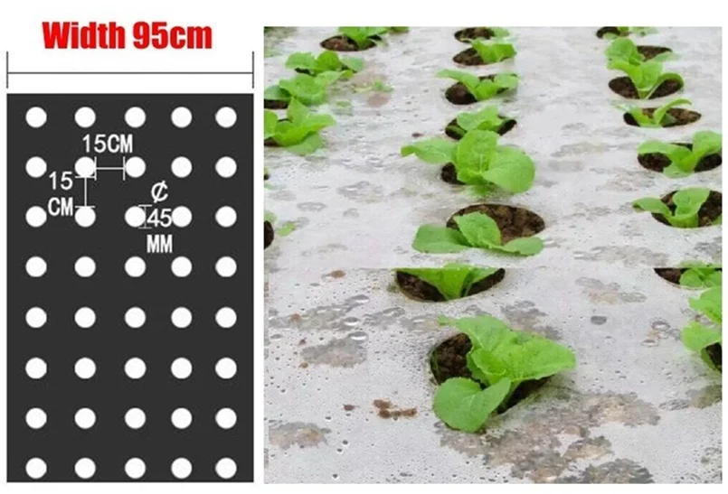 5~50m 0.02mm Agricultura Estufa Vegetal Plantas Cobertura Perfurada Filme Plástico Preto Manter Aquecido Anti Grama Plástico Mulch Filme