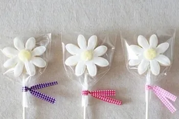 

300 Pcs Cellophane Cake Pop Bags Clear Lollipop Cookie Christmas CC86