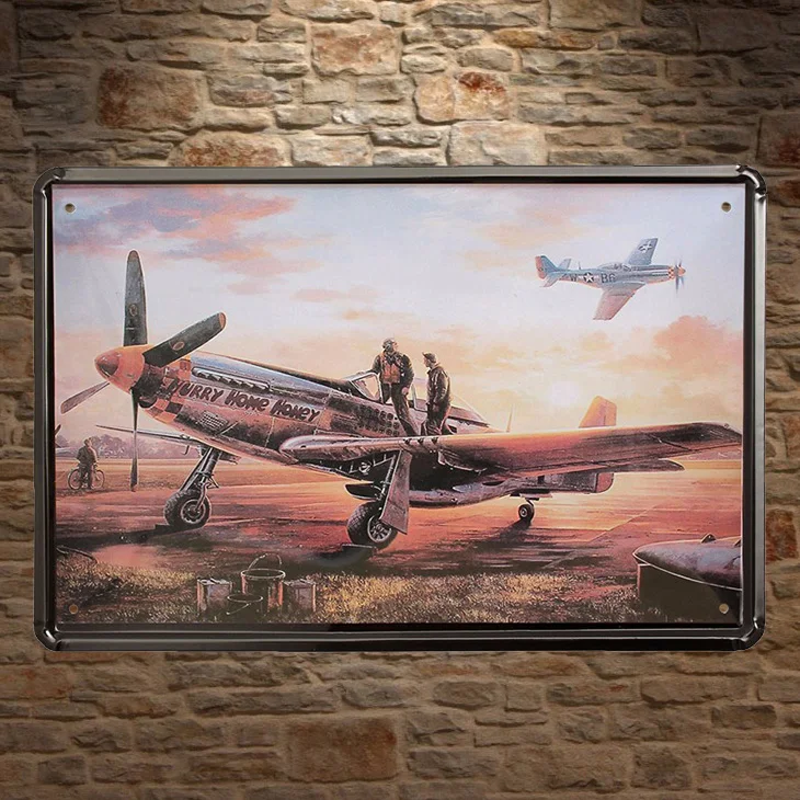 

1pc Plane war Aviation sky fly plaques Tin Plate Sign wall man cave Decoration Poster metal vintage retro shabby decor garage