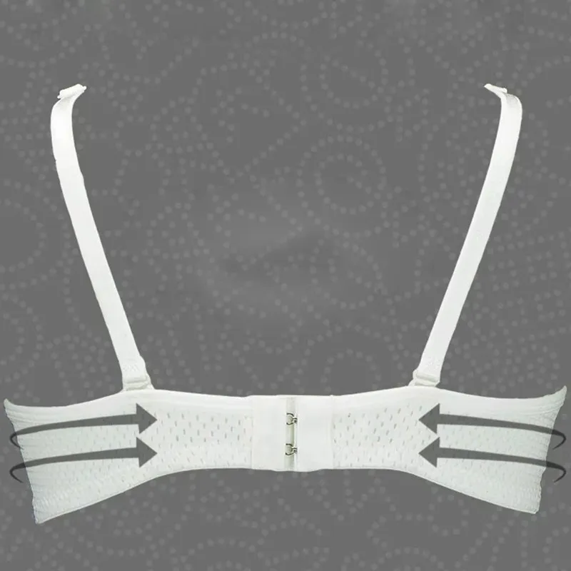 GF0081W.(7)
