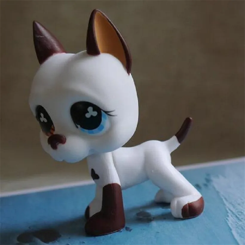 Новый узор Pet Shop LPS белый Coior Кошка Собака волосы Домашние животные с голубыми