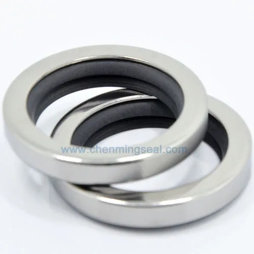 

45*68*12 mm Dual Lip PTFE Oil Seals with SS304 Housing For Compressors/Pumps/Mixers/Blowers/Gear Boxes/Extruders/Robotics
