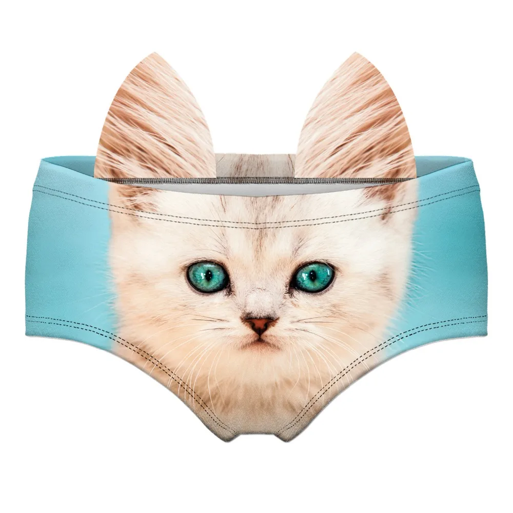 55461 MINT CAT wiz front