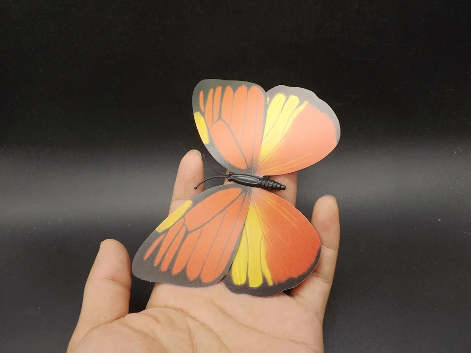 I229-Butterfly (2)