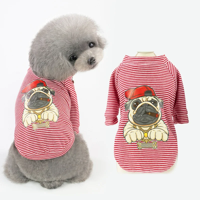 small dog jackets