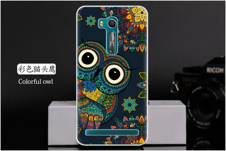  Colorful owl