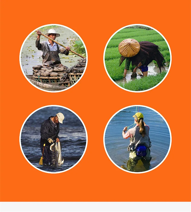 10272106877_1522172831_