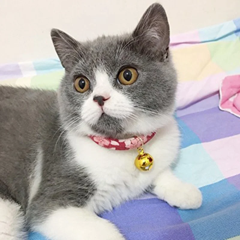 Cute Japanese Style Pet Cats Collar Handmade Cat Dog Collars Adjustable Necklace 4 Shape Collar For Dogs Cute Japanese Style Pet Cats Collar Handmade Cat Dog Collars Adjustable Necklace 4 Shape Collar For Dogs