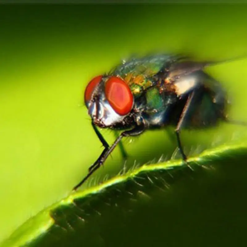 AF Macro Extension Tube (3)