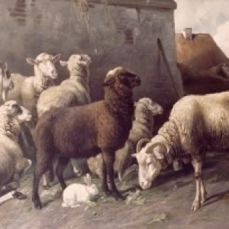 In Front of the Barn by Christian Friedrich Mali   (1832-1906) Poster Print (24 x 36)