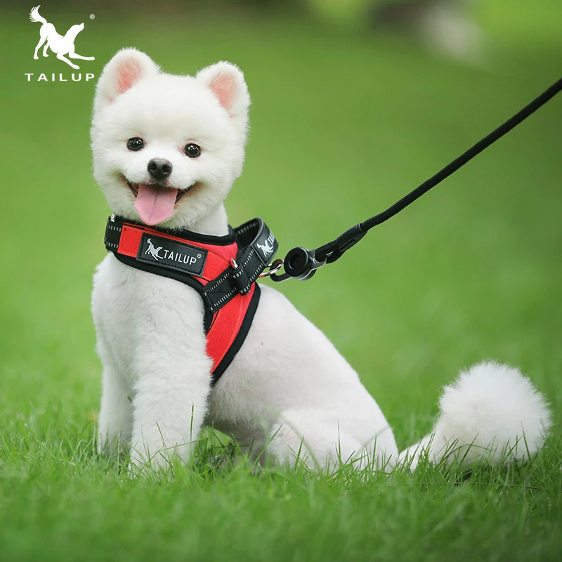 extra small harness for dogs