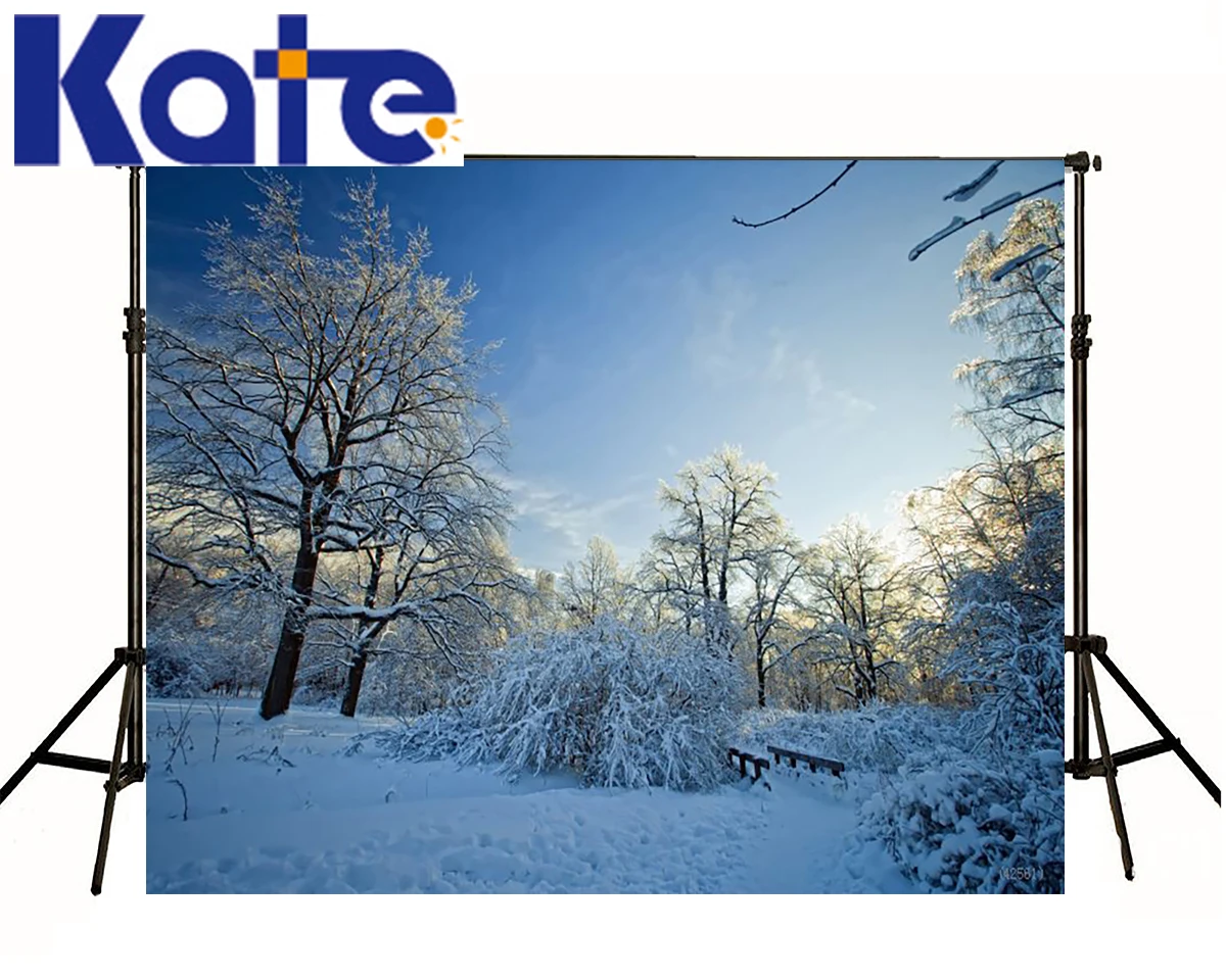

Kate Photography Backdrop Winter Heavy Snow Covered The Earth Background Scenery Bridge Background For Photo Shoot