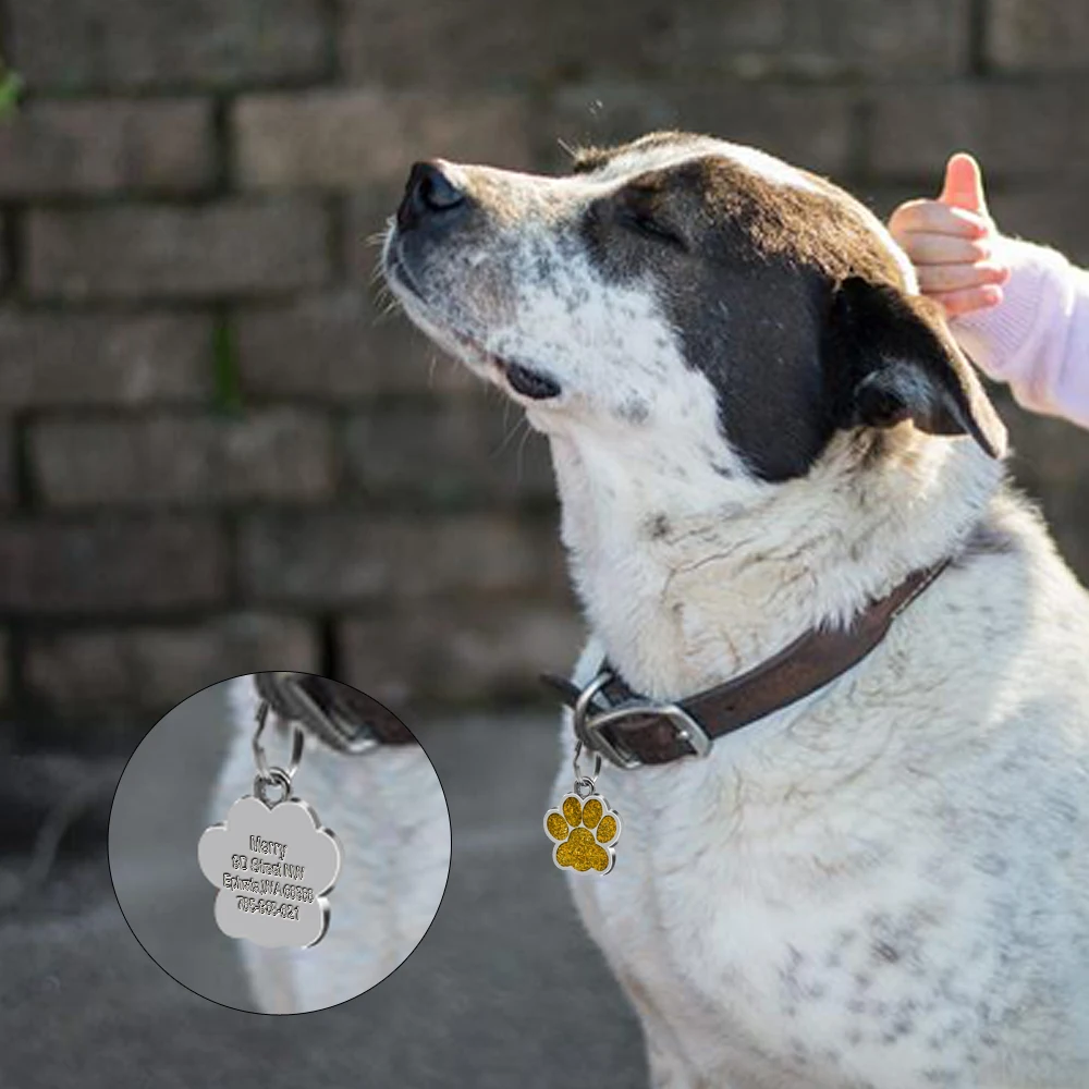 Антиутерянные персонализированные собаки ID Tag 6 цветов пятнистые стальные гравированные БЭЙДЖИ для собак собака с отпечатками лап собаки аксессуары с бесплатным свистком