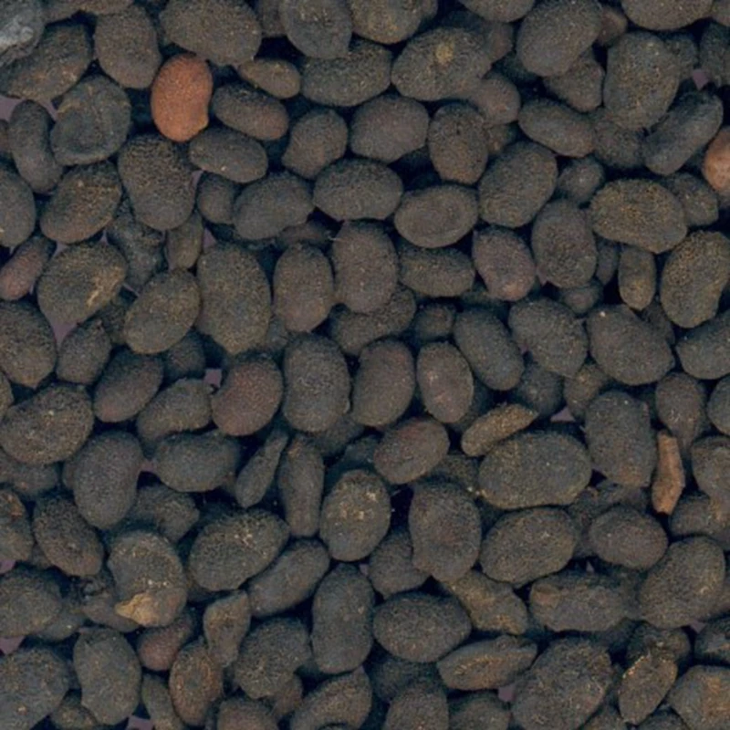 

100g top quality Psoraleae Extract with best  price and free shipping