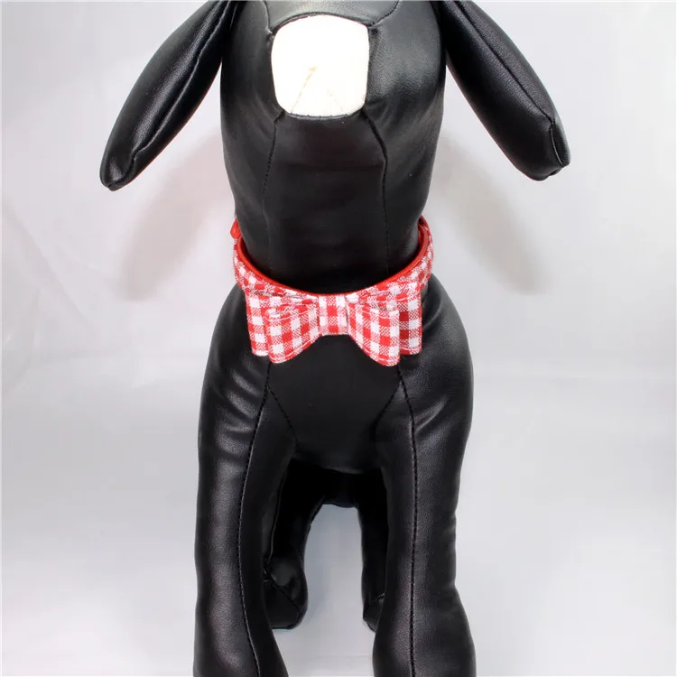 dog collar (1)