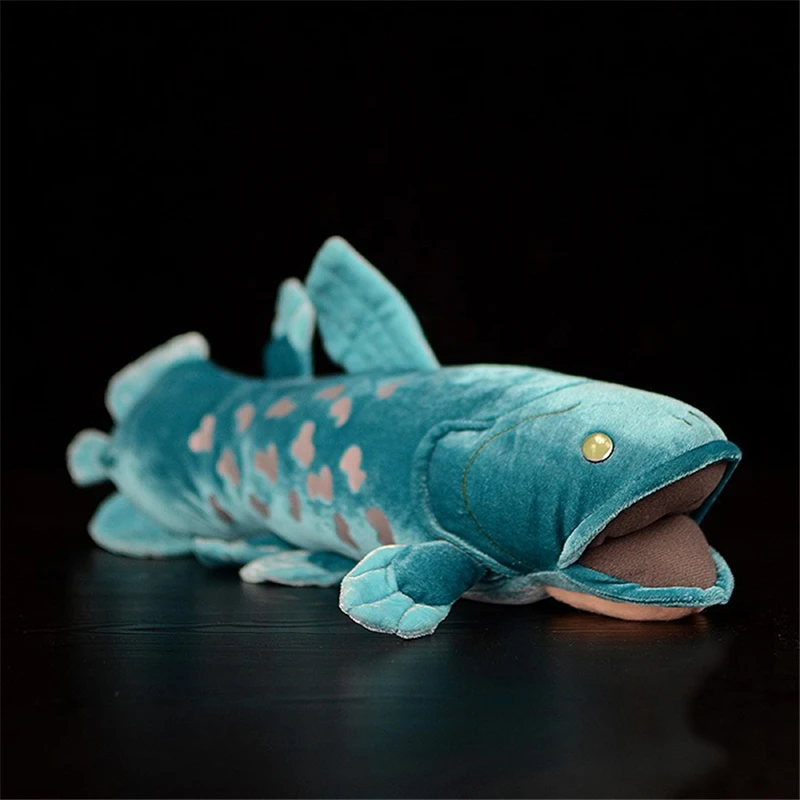 38CM simulation Coelacanth toy Plush Stuffed Animal Soft.kawaii lifelike for children girls dolls& stuffed toys & hobbies