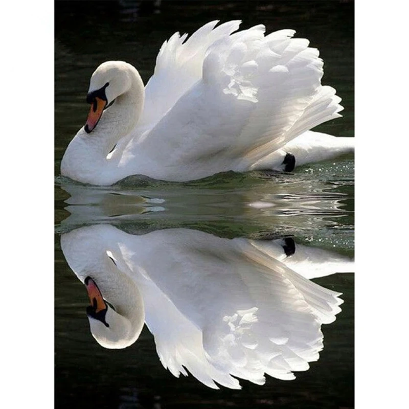 Diamond-embroidery-full-square-diamond-Mosaic-5d-diy-diamond-painting-full-drill-resin-Mosaic-pictures-swan