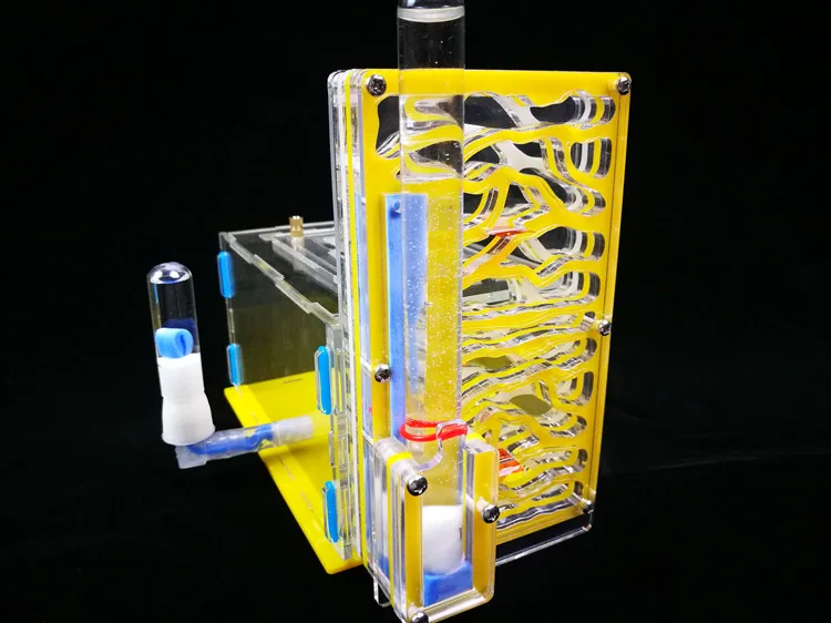ant-nest-b1 (3)