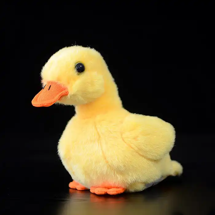 duckling teddy