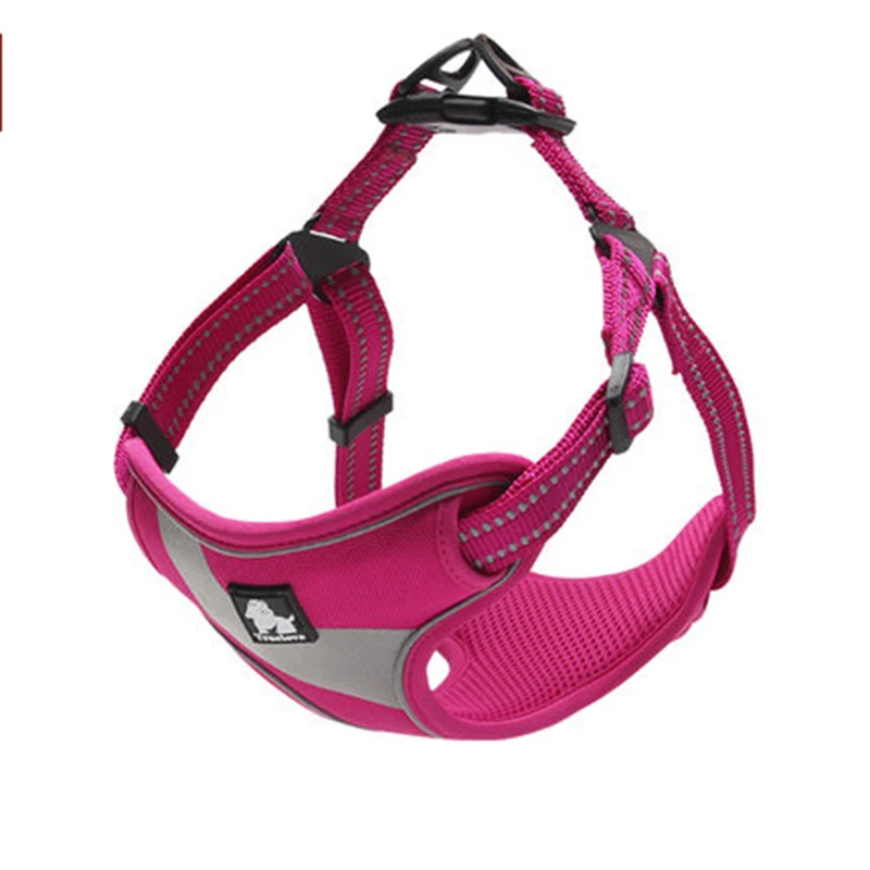 puppy collar set (3)