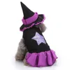 Wizard