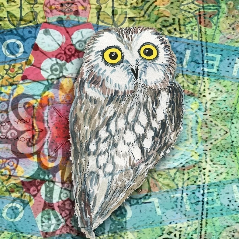 Yellow Eye Owl II Poster Print by Emily Townsend (11 x 14)