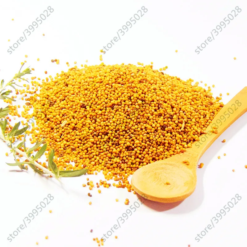 100pcs mustard Japanese Horseradish Seeds Best Seeds Online Free