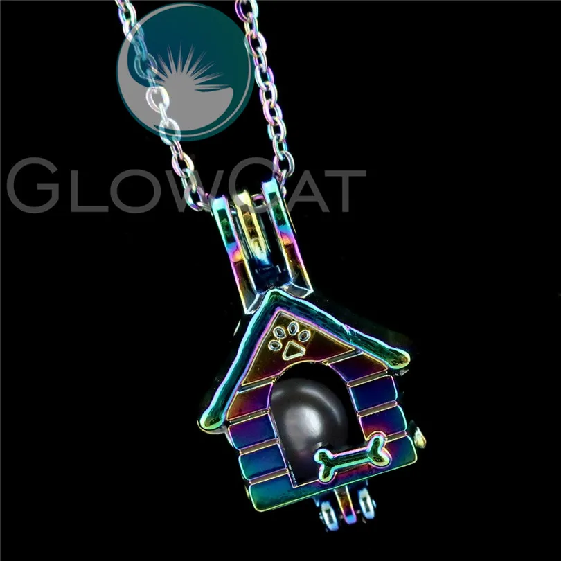 R C645 Rainbow Colors Paw Dog Bone Pet Puppy House Beads Cage Pendant