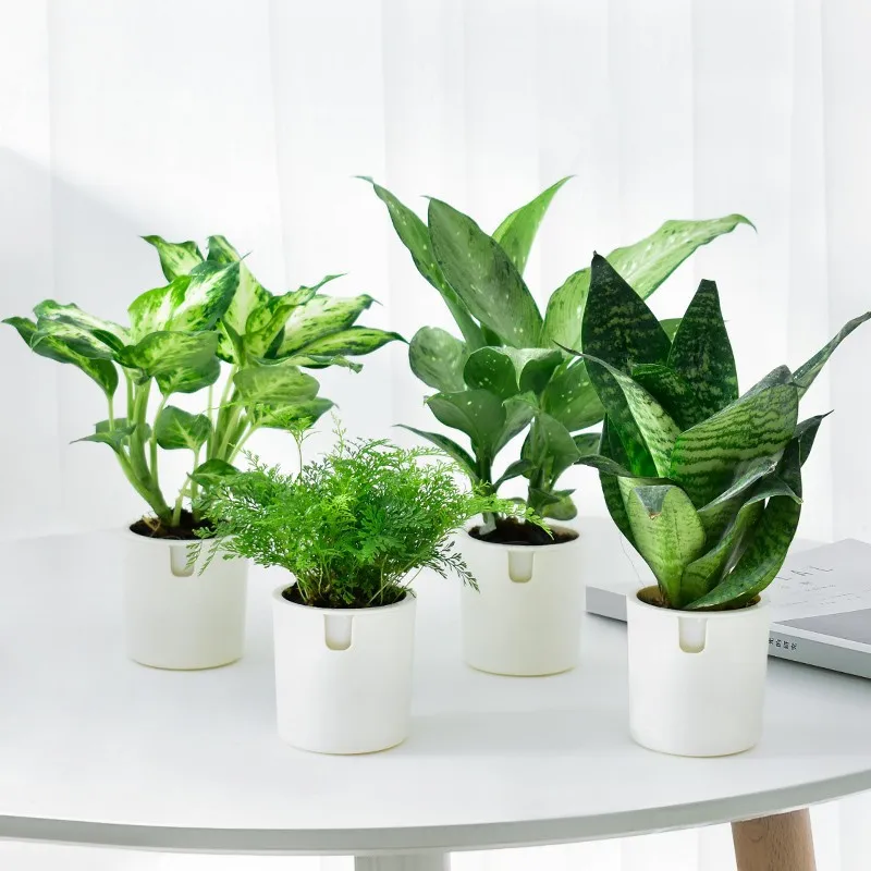 

WHISM White Round Plastic Flower Pot Double layer Plant Pots Automatic Water Absorption Garden Pots Decorative Home Planters