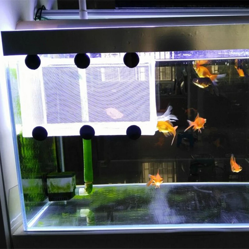 1pc Plastic Fish Breeding Incubator Net Hanging Fish Hatchery Isolation Box 26 x 15 x 15.5cm For Aquarium Accessory