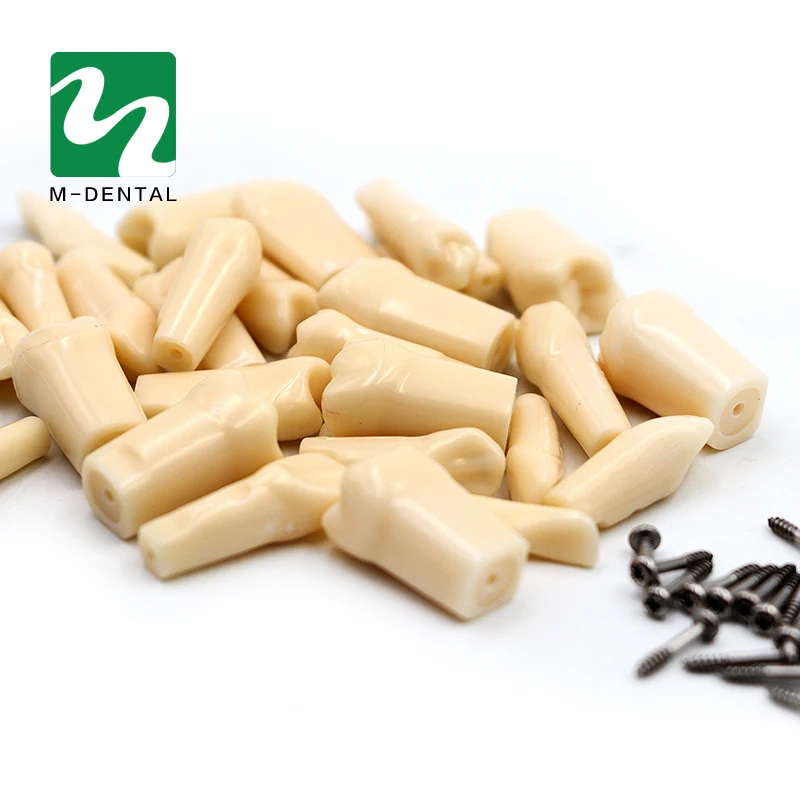 

28pcs Tooth Grain Teeth Model Resin Material For Tooth Preparation Exercises Teaching