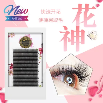 

2018 1 case new arrived bloom eyelash easy fan lashes self-making fan bloom mink eyelash extension cilia