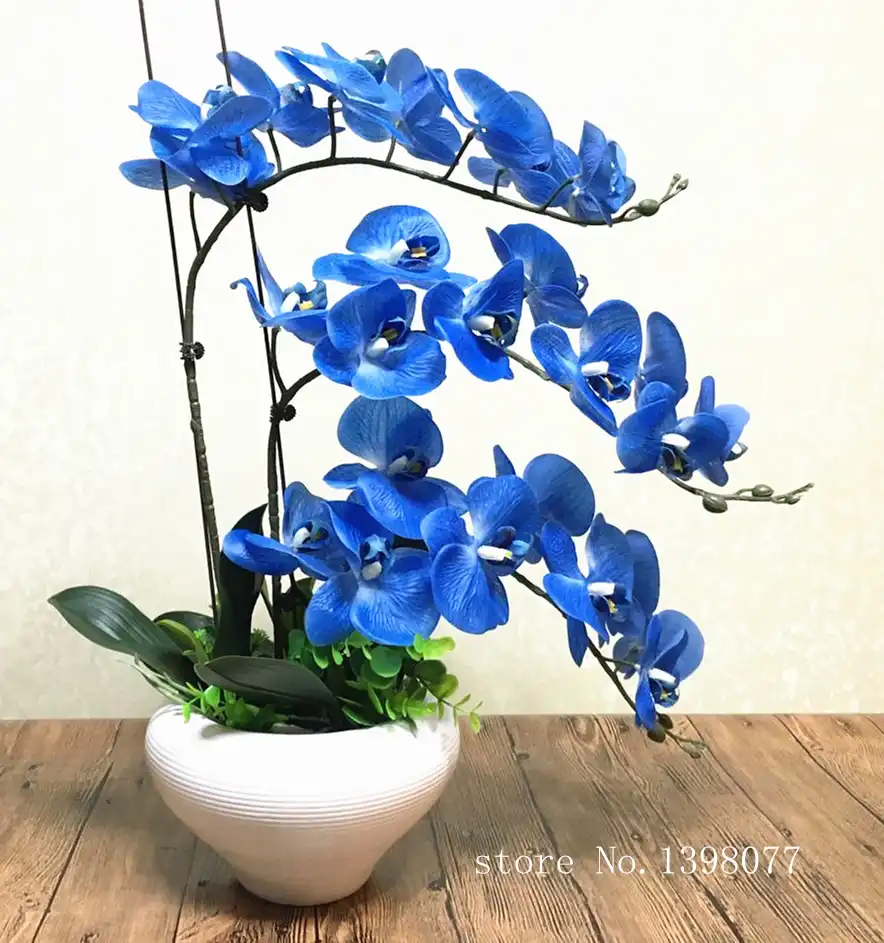 high quality orchids Strelitzia reginae elegant blue real touch