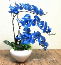 1 set blauw Phalaenopsis regeling kunstbloem hoge kwaliteit orchidee real touch woondecoratie bloemen art gift