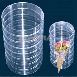 Kicute 10Pcs Plastic Sterile Petri Dishes with Lids 55mm For Lab Plate Bacterial Yeast Medical Biological Scientific Supply |