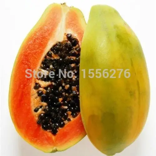 

PAPAYA- RED LADY DELICIOUS - 50 FINEST semillas *
